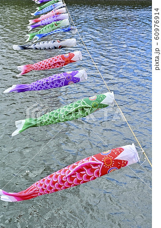 つつじが丘第２公園の鶴生田川に架かる鯉のぼり 60976914