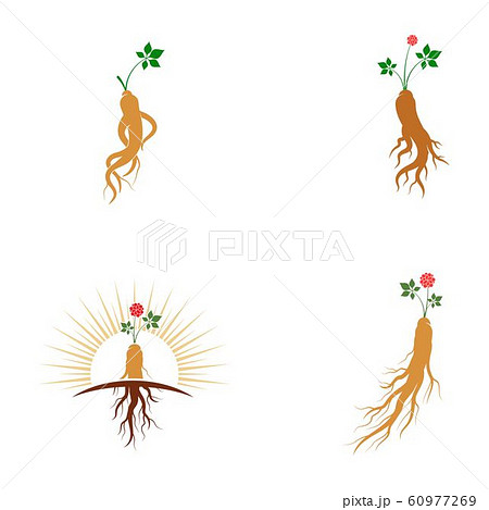 Ginseng vector icon illustration 60977269