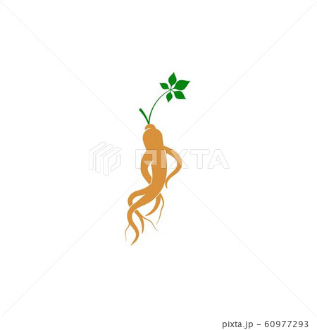 Ginseng vector icon illustration 60977293