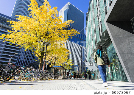 名古屋駅前 都市風景 大名古屋ビルヂング前の銀杏並木 名古屋駅前 都市風景 大名古屋ビルヂング前の銀杏並木 60978067