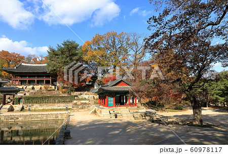 昌徳宮 秋 韓国 60978117