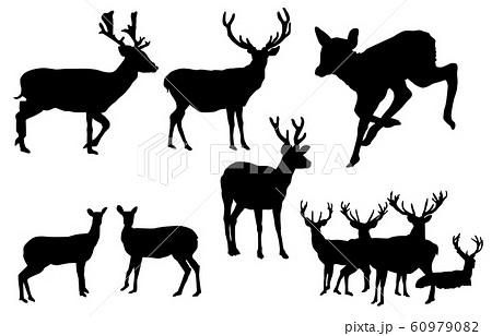 動物シルエット野生シカ 動物シルエット野生シカ 60979082