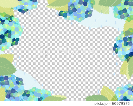 繡球 60979575