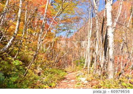 船窪岳方面への登山口 60979656