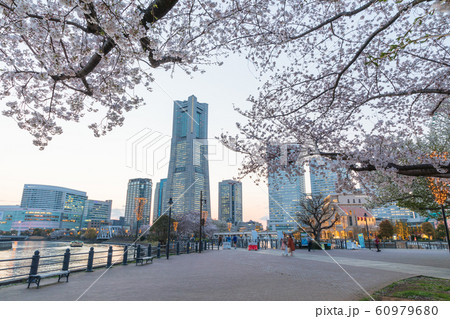 横浜_みなとみらい春景色 横浜_みなとみらい春景色 60979680