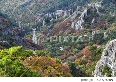寒霞渓の紅葉 寒霞渓の紅葉 60979709
