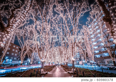 SENDAI光のページェント2019 宮城県仙台市 SENDAI光のページェント2019 宮城県仙台市 60980378