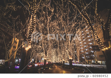 SENDAI光のページェント2019　宮城県仙台市 60980452