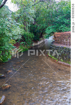 城下町の風景　宮城白石　沢端川 60980656