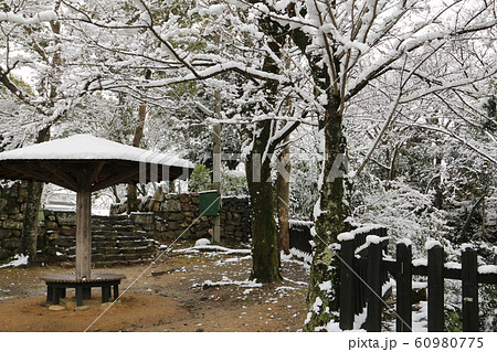 雪風景 雪景色 犬山城の雪景色 犬山城の冬景色 積雪風景 雪風景 雪景色 犬山城の雪景色 犬山城の冬景色 積雪風景 60980775