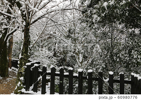 雪風景 雪景色 犬山城の雪景色 犬山城の冬景色 積雪風景 雪風景 雪景色 犬山城の雪景色 犬山城の冬景色 積雪風景 60980776