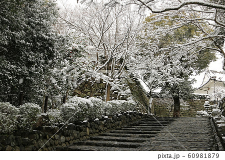 雪風景　雪景色　犬山城下の雪景色　犬山城下の冬景色　積雪風景 60981879