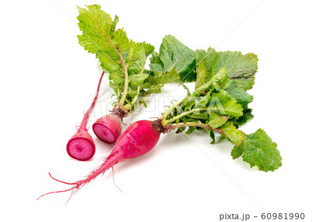 もみじスティック 60981990