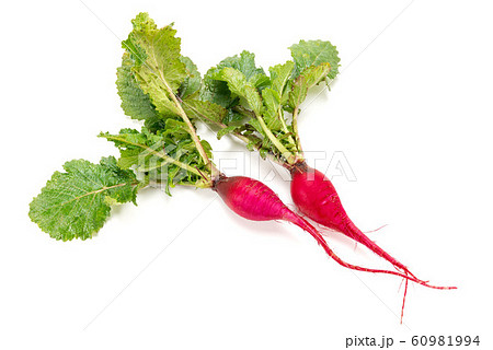 もみじスティック もみじスティック 60981994