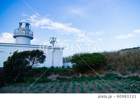 城ヶ島（冬） 60983131