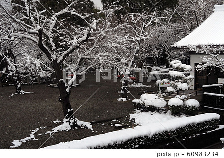 雪風景　雪景色　犬山城の雪景色　犬山城の冬景色　積雪風景 60983234