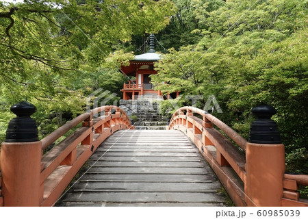 京都 上醍醐 准胝堂 醍醐寺 西国三十三所 札所 弁天堂 京都 上醍醐 准胝堂 醍醐寺 西国三十三所 札所 弁天堂 60985039