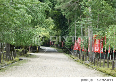 京都 上醍醐 准胝堂 醍醐寺 西国三十三所 札所 参道 京都 上醍醐 准胝堂 醍醐寺 西国三十三所 札所 参道 60985044