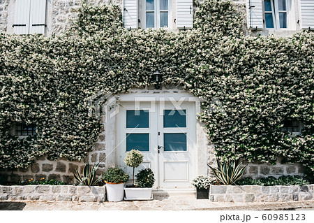 The front door to the house. The front door to the house. 60985123