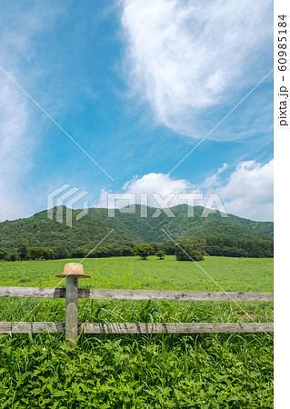 蒜山高原 夏 青空 蒜山高原 夏 青空 60985184