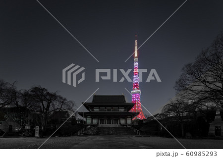 東京タワーと増上寺 60985293