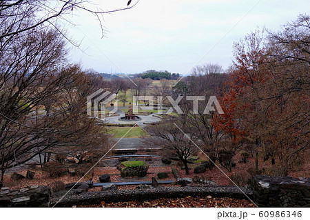 大室公園の12月 大室公園の12月 60986346