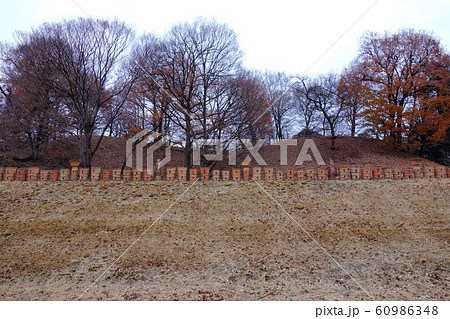 大室公園の12月 60986348