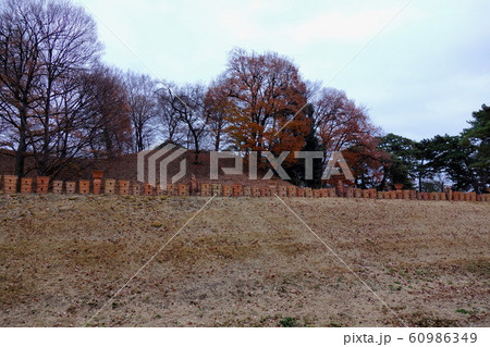 大室公園の12月 大室公園の12月 60986349