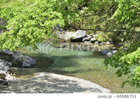 【岐阜県】円原川　渓流・清流イメージ 60986753