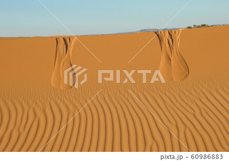 モロッコ、朝日を浴びるメルズーガ大砂丘と風紋 60986883