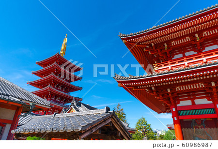 日本の東京都市景観　浅草寺などを望む 60986987