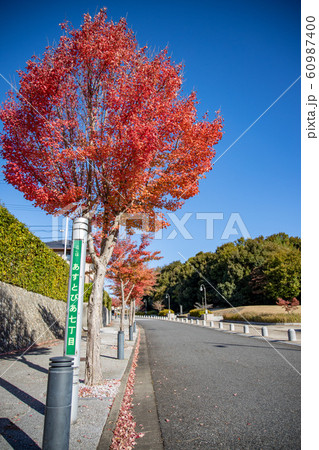 宇部市あすとぴあ 60987400