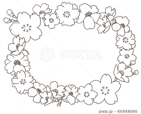 フレーム 桜 さくら 素材 手描き ペン 横構図のイラスト素材