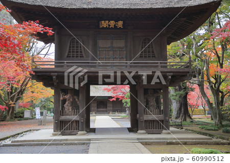 平林寺の紅葉　埼玉県 60990512