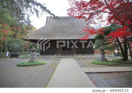 平林寺の紅葉 埼玉県 平林寺の紅葉 埼玉県 60990514