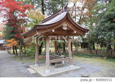平林寺の紅葉 埼玉県 平林寺の紅葉 埼玉県 60990531