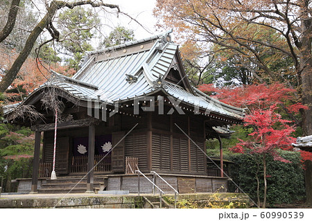 平林寺の紅葉　埼玉県 60990539
