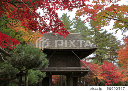 平林寺の紅葉 埼玉県 平林寺の紅葉 埼玉県 60990547