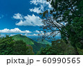 京都府福知山市大江町大江山からの風景 60990565