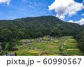 京都府福知山市大江町毛原の棚田ドローン空撮 60990567