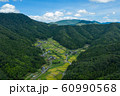 京都府福知山市大江町毛原の棚田ドローン空撮 60990568
