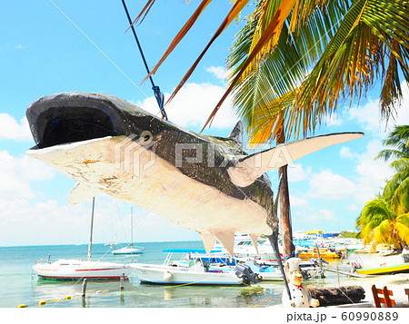 <メキシコ>ISLA MUJERES <メキシコ>ISLA MUJERES 60990889