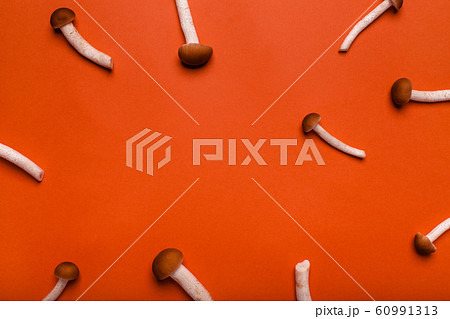 Cute little mushrooms scattered on a red background, open composition 60991313