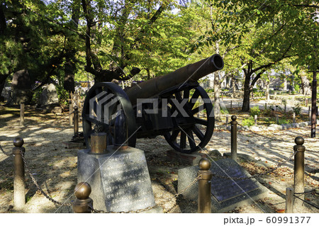 小倉　小倉城　大砲　福岡県北九州市小倉北区 60991377