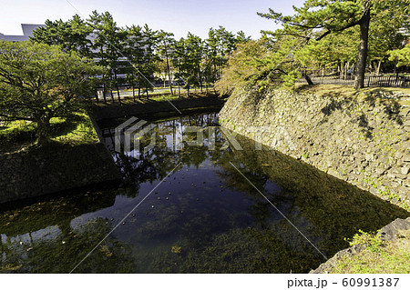 小倉　小倉城　内堀　福岡県北九州市小倉北区 60991387