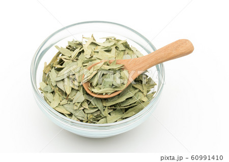 センナリーフ センナ・アレクサンドリナ センナ葉 ハーブティー: Senna leaf センナリーフ センナ・アレクサンドリナ センナ葉 ハーブティー: Senna leaf 60991410