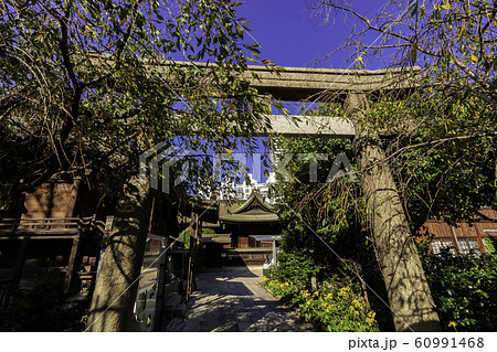 小倉　小倉城　八坂神社　石鳥居　福岡県北九州市小倉北区 60991468