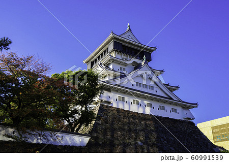 小倉 小倉城 天守閣 福岡県北九州市小倉北区 小倉 小倉城 天守閣 福岡県北九州市小倉北区 60991539
