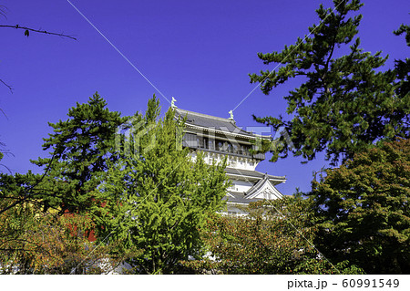 小倉 小倉城 天守閣 福岡県北九州市小倉北区 小倉 小倉城 天守閣 福岡県北九州市小倉北区 60991549