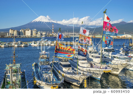 田子の浦港　初漁 60993450